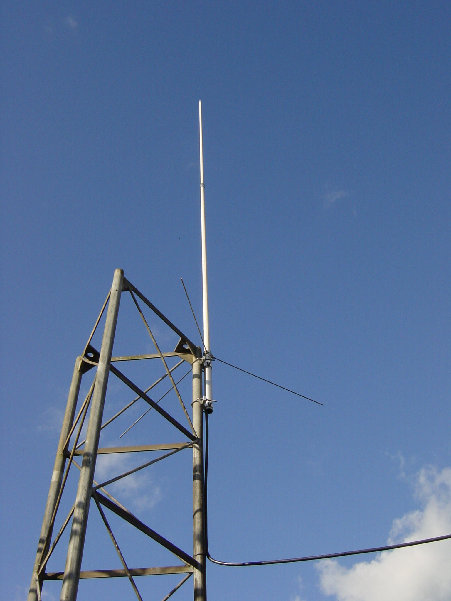 DSC00829.JPG (366.91 KiB) 42567 keer bekeken De rondstraler eenzaam op 4 meter hoogte